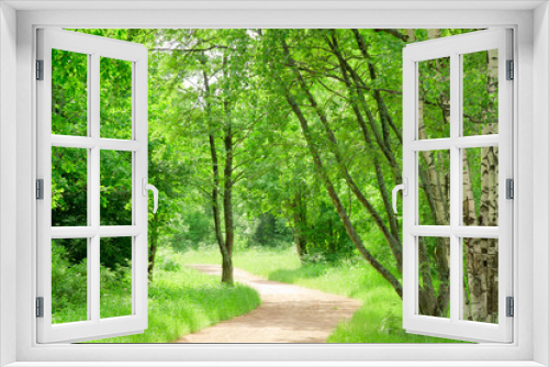 Fototapeta Naklejka Na Ścianę Okno 3D - Natural Background Woods Landscape Way to Go
