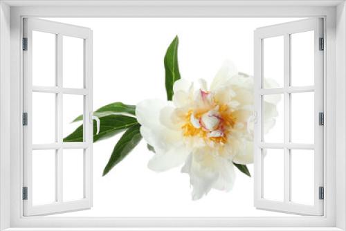Fototapeta Naklejka Na Ścianę Okno 3D - Beautiful fragrant peony flower isolated on white