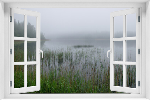 Fototapeta Naklejka Na Ścianę Okno 3D - image of fog, view of the lake with white fog, reed contours in the foreground, blurred misty lake background