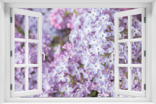 Fototapeta Naklejka Na Ścianę Okno 3D - Lilac flowers. Close-up. Selective autofocus.