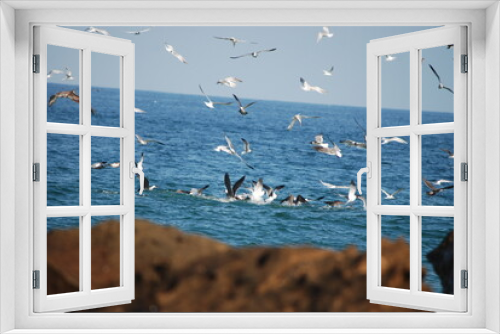 Fototapeta Naklejka Na Ścianę Okno 3D - flock of seagulls