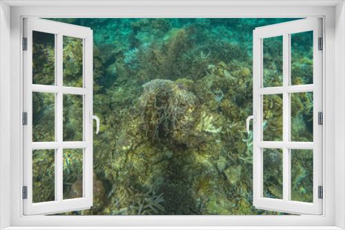 Fototapeta Naklejka Na Ścianę Okno 3D - Panoramic scene under water, coral and blue background
