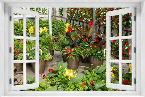 Fototapeta Naklejka Na Ścianę Okno 3D - Flowers at Garden centre