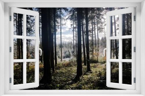 Fototapeta Naklejka Na Ścianę Okno 3D - Nature Switzerland