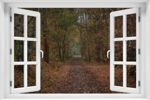 Fototapeta Naklejka Na Ścianę Okno 3D - droga przez las jesienią