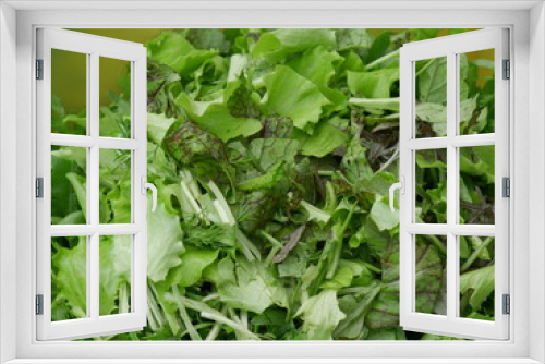 Fototapeta Naklejka Na Ścianę Okno 3D - fresh green salad