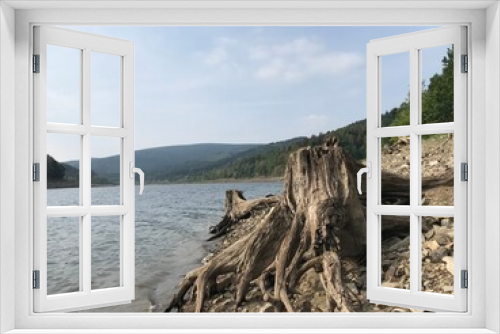 Fototapeta Naklejka Na Ścianę Okno 3D - Wurzel am See