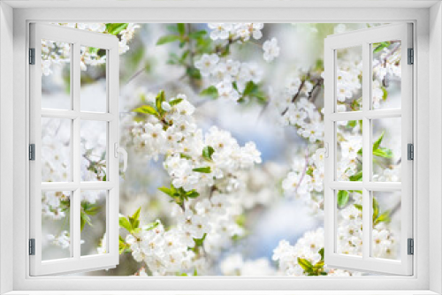 Fototapeta Naklejka Na Ścianę Okno 3D - Seamless pattern of blooming cherry tree, spring. Endless template for print, textile, box, wallpaper, cover design.