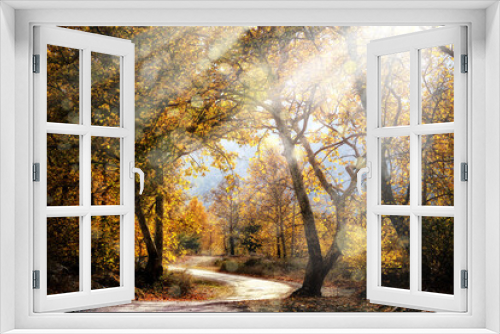 Fototapeta Naklejka Na Ścianę Okno 3D - Sunbeams shining over dirt country road with colorful autumn leaves and trees in forest
