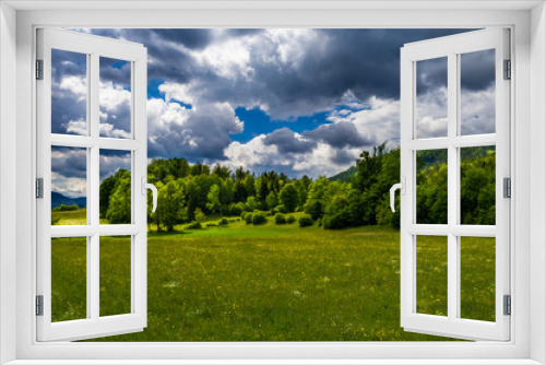 Fototapeta Naklejka Na Ścianę Okno 3D - Rural Landscape With Forest And Flower Meadow At Cloudy Weather In Austria