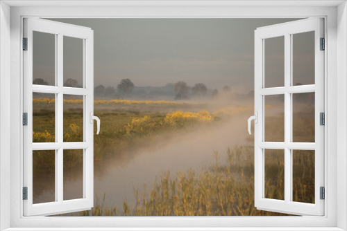 Fototapeta Naklejka Na Ścianę Okno 3D - morning meadows, ochtend veld