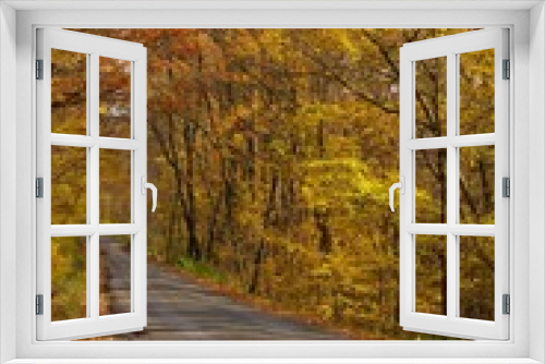 Fototapeta Naklejka Na Ścianę Okno 3D - Autumn Road