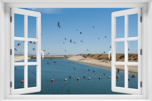 Fototapeta Naklejka Na Ścianę Okno 3D - Swift's Swarming