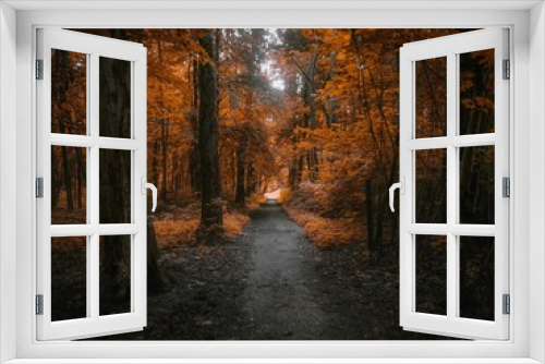 Fototapeta Naklejka Na Ścianę Okno 3D - Path in the autumn forest. colors of autumn 