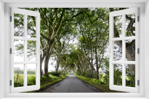 Fototapeta Naklejka Na Ścianę Okno 3D - Magnifique allée d'arbre située en irlande du nord et devenue célèbre grâce à la série 
