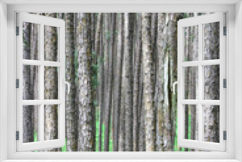 Fototapeta Naklejka Na Ścianę Okno 3D - Evergreen pine forest.