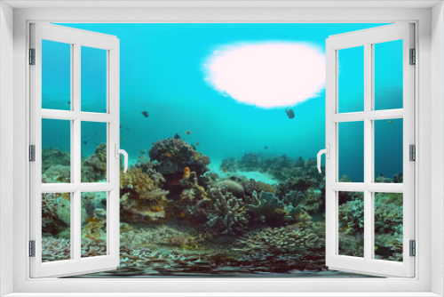 Fototapeta Naklejka Na Ścianę Okno 3D - Underwater Scene Coral Reef 360VR. Tropical underwater sea fishes. Virtual tour 360. Panglao, Philippines.