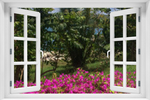 Fototapeta Naklejka Na Ścianę Okno 3D - wonderful vibrant tropical foliage in Roatan , Honduras