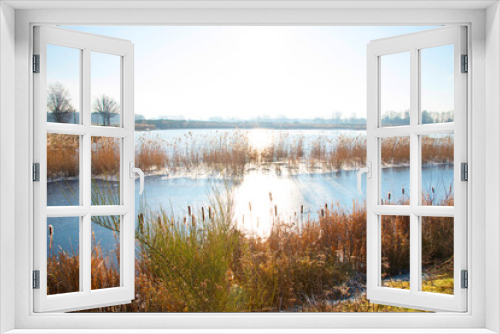 Fototapeta Naklejka Na Ścianę Okno 3D - beautiful nature reserve in the Netherlands in winter, frozen ditch