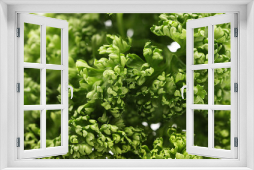 Fototapeta Naklejka Na Ścianę Okno 3D - parsley isolated in white background