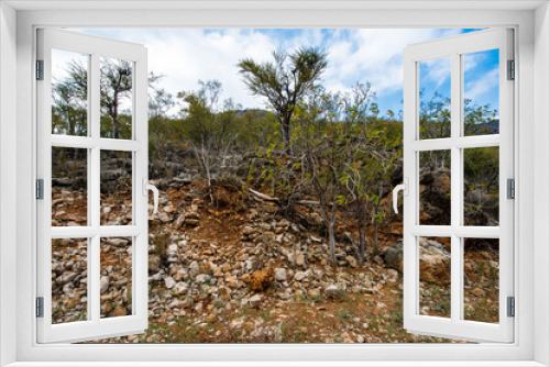 Fototapeta Naklejka Na Ścianę Okno 3D - It's Nature of Socotra Island, Yemen. UNESCO World Natural Heritage. Small archipelago of four islands in the Indian Ocean