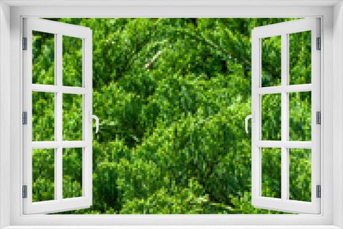 Fototapeta Naklejka Na Ścianę Okno 3D - background[tree]_12