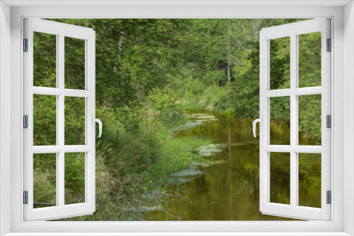 Fototapeta Naklejka Na Ścianę Okno 3D - Rzeka Czerna płynąca przez las.