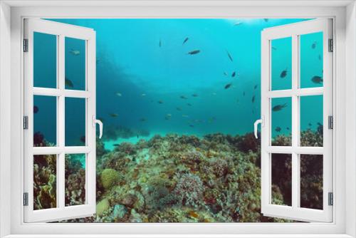Fototapeta Naklejka Na Ścianę Okno 3D - Reef Coral Scene. Tropical underwater sea fish. Hard and soft corals, underwater landscape. Panglao, Bohol, Philippines.