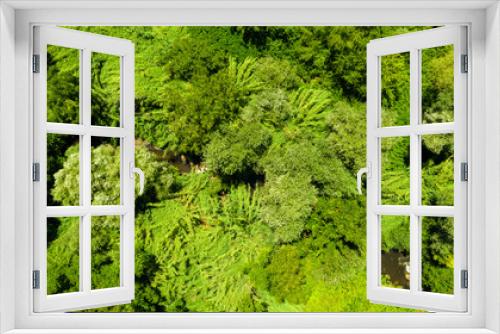 Fototapeta Naklejka Na Ścianę Okno 3D - Aerial view of a dense forest. There are many trees, bushes and green grass on this beautiful spring day.
