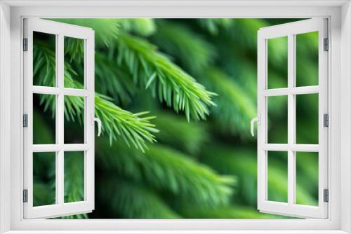 Fototapeta Naklejka Na Ścianę Okno 3D - Young green spruce branches needles close-up selective focus natural background