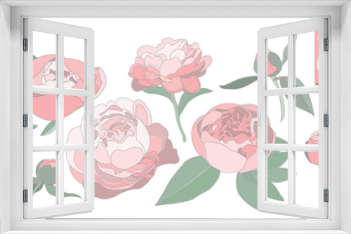 Fototapeta Naklejka Na Ścianę Okno 3D - Vector multicolored set of contour linear image of peonies isolated on a white background. Peony flat style botanical flower concept. For design.