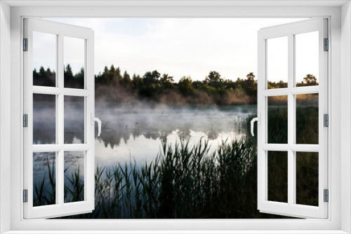 Fototapeta Naklejka Na Ścianę Okno 3D - Morning / evening mist on the polish lake. Grassy coast and golden horizon 