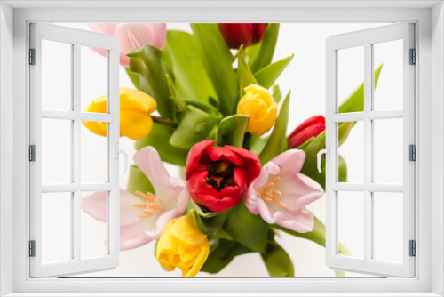 Fototapeta Naklejka Na Ścianę Okno 3D - multi-colored tulips on a white background, spring flowers, flowers for march 8, background with flowers