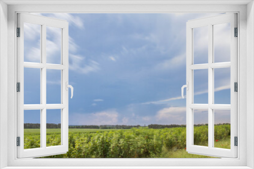 Fototapeta Naklejka Na Ścianę Okno 3D - Stormy sky over a field (long exposure)