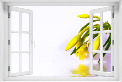 Fototapeta Naklejka Na Ścianę Okno 3D - Bright colorful daffodils flowers