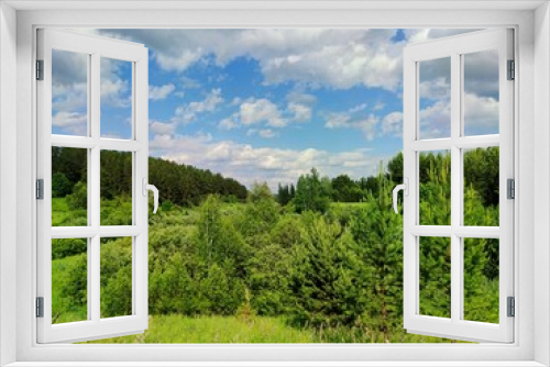 Fototapeta Naklejka Na Ścianę Okno 3D - blue sky with wonderful clouds over open fields with green grass and trees on a sunny day