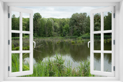 Fototapeta Naklejka Na Ścianę Okno 3D - big lake in the green forest