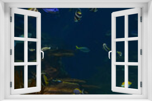 Fototapeta Naklejka Na Ścianę Okno 3D - Ripley's Aquarium of the Smokies in Gatlinburg with a big tanks with fish