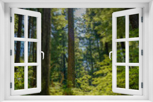 Fototapeta Naklejka Na Ścianę Okno 3D - Tall trees portrait orientation