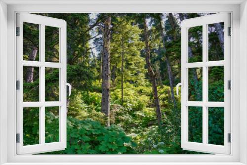 Fototapeta Naklejka Na Ścianę Okno 3D - green grass and forest