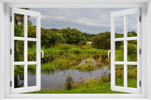 Fototapeta Naklejka Na Ścianę Okno 3D - A small wildlife reserve in a local community where you can watch the birds and wildlife.