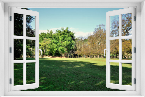 Fototapeta Naklejka Na Ścianę Okno 3D - O belo gramada e árvores do parque da cidade