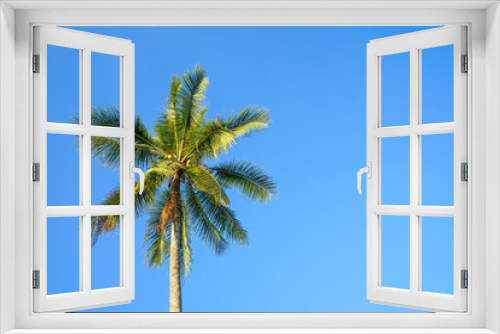 Fototapeta Naklejka Na Ścianę Okno 3D - palm tree on blue sky