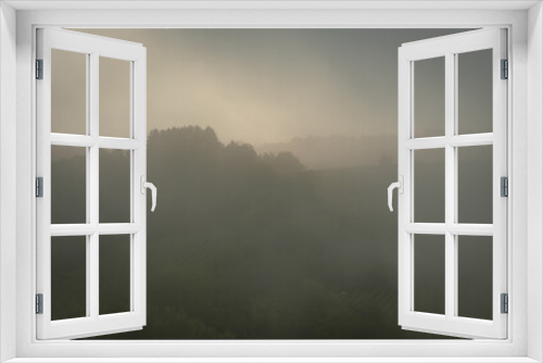 Fototapeta Naklejka Na Ścianę Okno 3D - Forest trees in fog