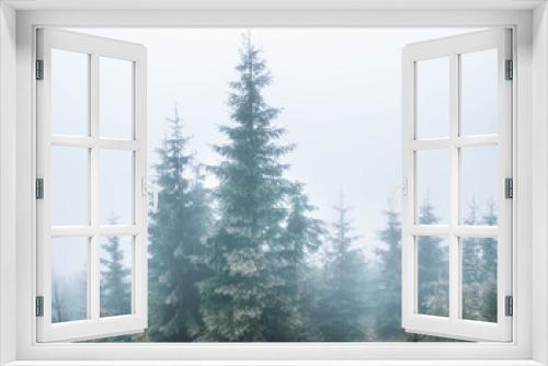 Fototapeta Naklejka Na Ścianę Okno 3D - Mountain forest in the fog.