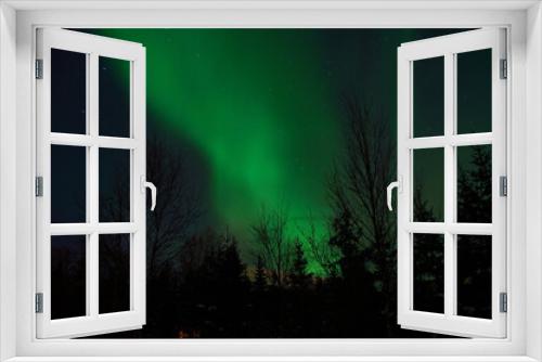 Fototapeta Naklejka Na Ścianę Okno 3D - vibrant aurora borealis, northern lights over forest and trees in the arctic winter night
