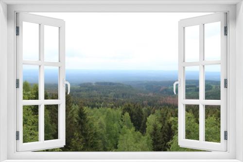 Fototapeta Naklejka Na Ścianę Okno 3D - Wanderung im Wald - Harz - Brocken