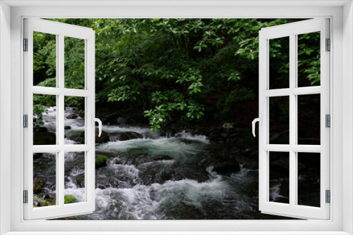 Fototapeta Naklejka Na Ścianę Okno 3D - 夏の渓流の風景－杜鵑峡（トケンキョウ）