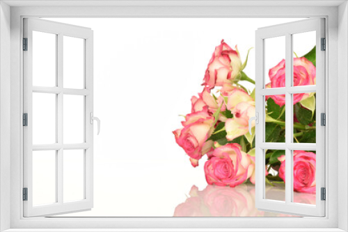Fototapeta Naklejka Na Ścianę Okno 3D - pink rose on white background