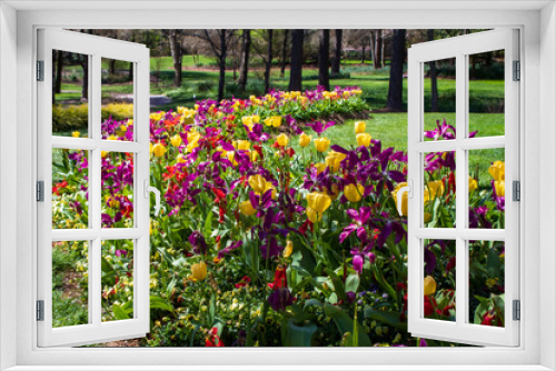 Fototapeta Naklejka Na Ścianę Okno 3D - Flowers in Bloom